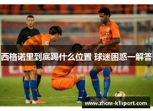 西格诺里到底踢什么位置 球迷困惑一解答