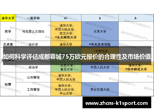 如何科学评估成都蓉城75万欧元报价的合理性及市场价值