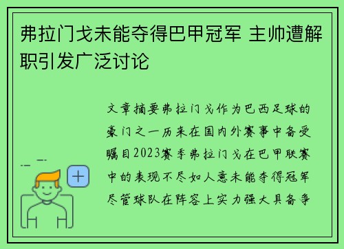 弗拉门戈未能夺得巴甲冠军 主帅遭解职引发广泛讨论